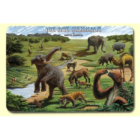 Painless Learning Ice Age Placemat 4PK ICE1